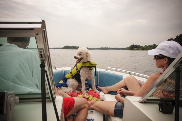 Elliot enjoying the wind